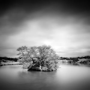 Time Is Fleeting by Maximilian+christian Baeuchle