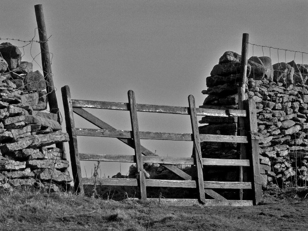 Gate, photography by Acacia Fyne. In Nature, Scenery