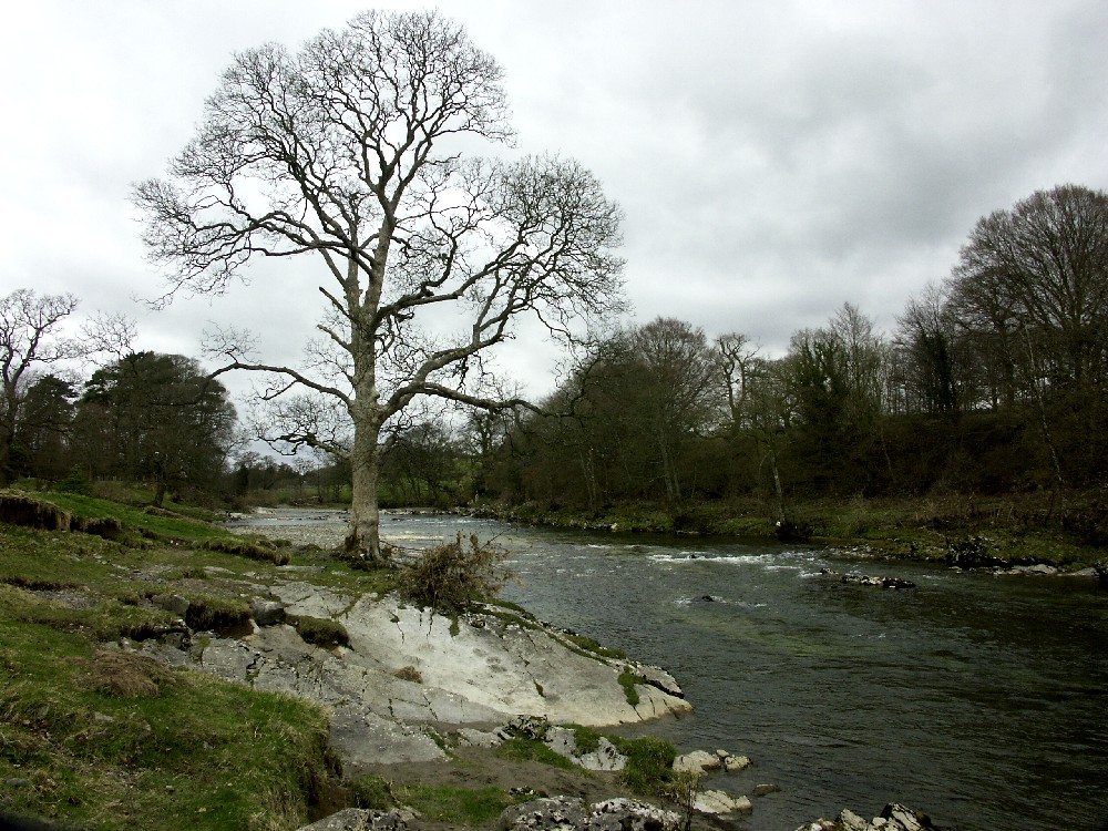 River, Artwork by Acacia Fyne