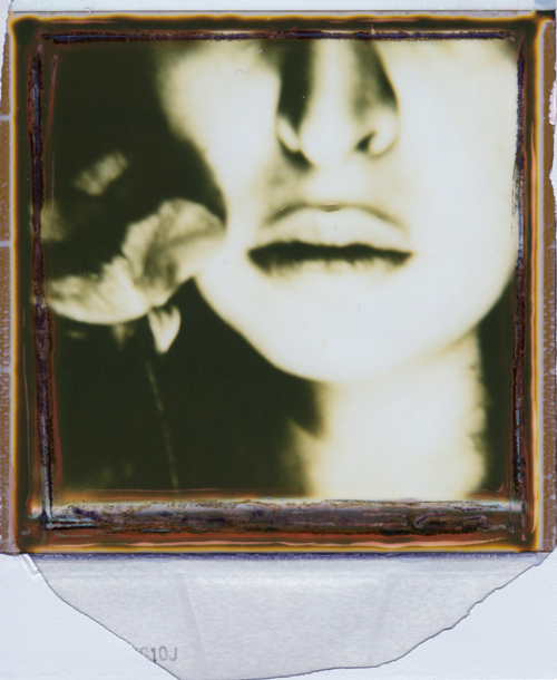 You,Me And The Roses, photography by Carmen Palermo. polaroid 600. 600 film. In People, Self-portrait