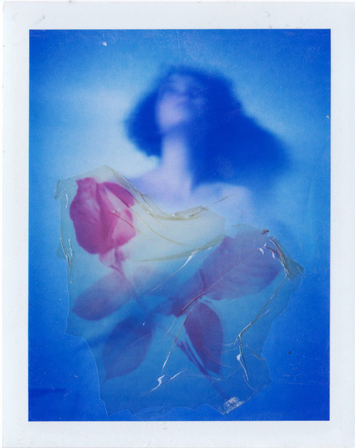 De Floribus: Rosa, photography by Carmen Palermo. polaroid pinhole+sx-70. pinhole polaroid+transfer of px70 push. In People, Self-portrait