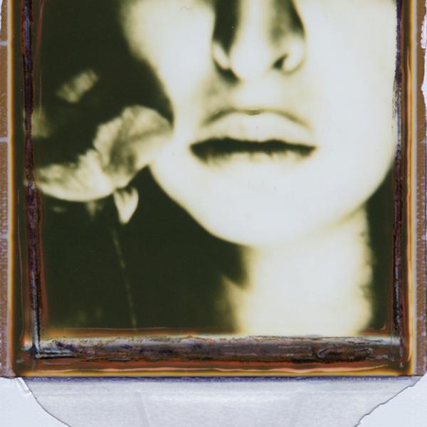 You,Me And The Roses by Carmen Palermo