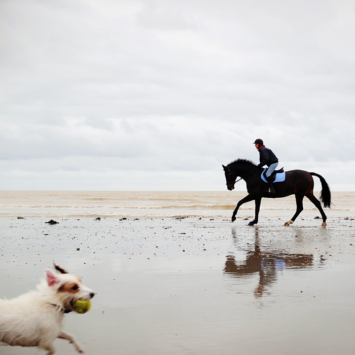 Dogandhorse, Artwork by Yari Beno. just. D300