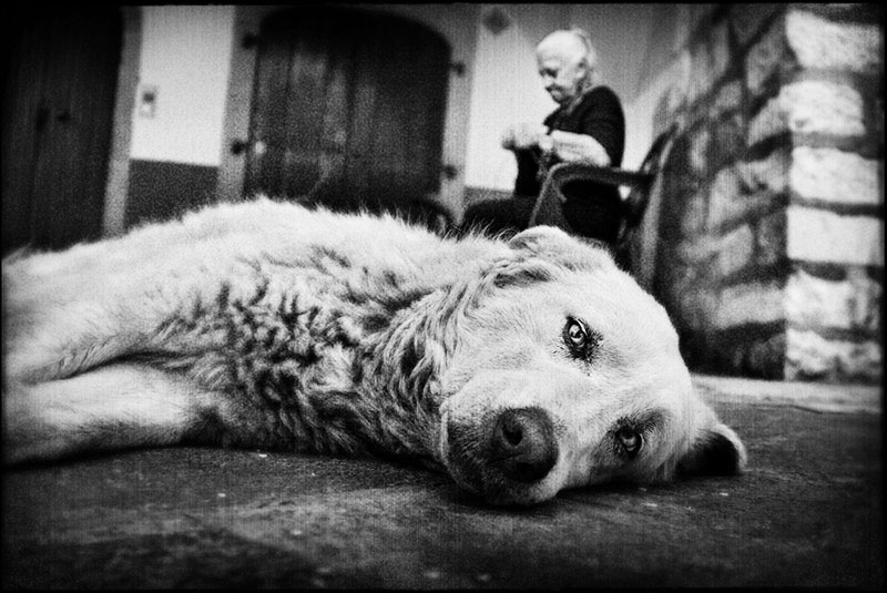 Untitled, photography by Virginia Fragiacomo. In People, Everyday