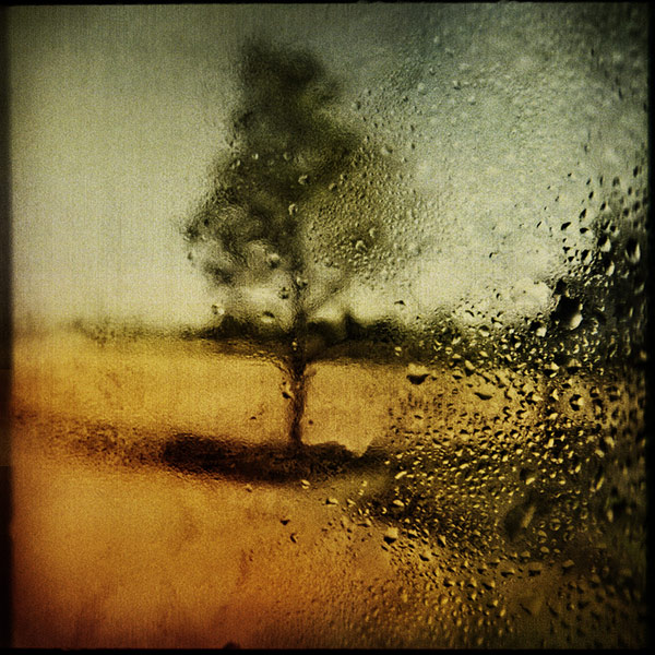 Dans Nature, Végétal, Arbre, forêt. Untitled, photographie de Virginia Fragiacomo. Image #385246