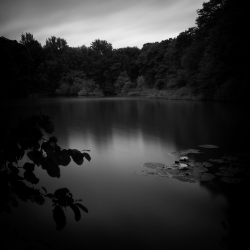 Le Petit Lac...6, photography by Rumen Petkov. Dari et sa m&egrave;re...... en m&eacute;moire de Darina. Canon 50D. filters. In Nature, Scenery, Waterscape