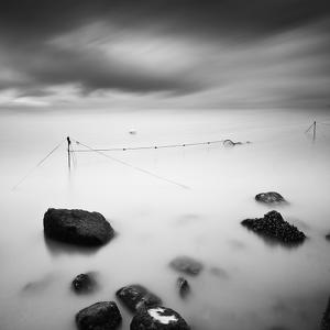 Immersion by Rumen Petkov