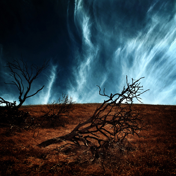 In Nature, Scenery. Mighty Death Has Found Me, photography by Jeff Masamori. Image #142831