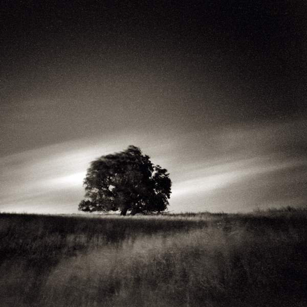 Slowly, The Light Comes, photography by Jeff Masamori. In Nature, Scenery, Countryside
