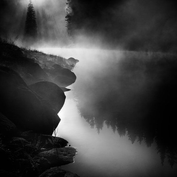 Untitled, photography by Samuil Velichkov. In Nature, Vegetal, Tree, forest