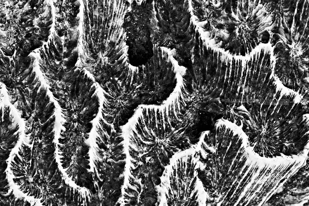 Body Of The Sea No.06, Artwork by Cristian Predut. Australia, Lady Elliot, 2010

http://cristianpredut.com/?page_id=586. canon 5D Mark II. capture One, Silver Efex Pro 2