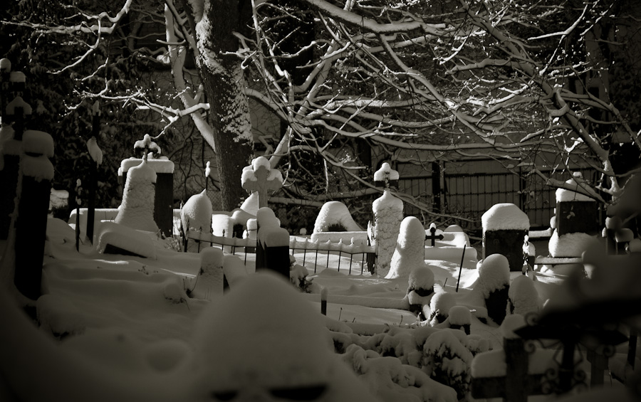 my home of silence, photography by Deividas. In Construction, Place, Garden, park