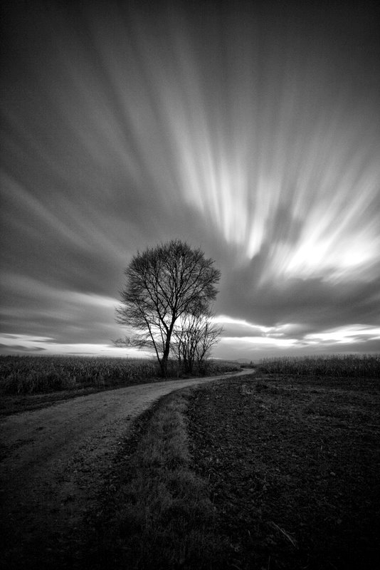 No More Turning Away, photography by Mario Blazevic. In Nature, Weather