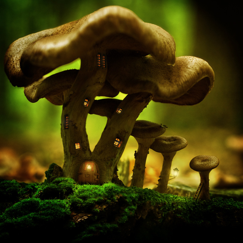 Home of the dwarfs, photographie de Jeannette Woitzik. ;-). Canon EOS 1D