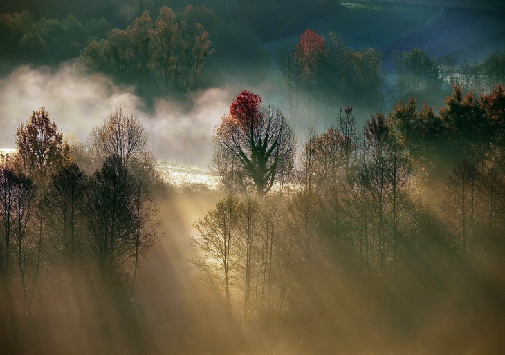 autumn, photography by Kruno Vecenaj. In Nature, Scenery