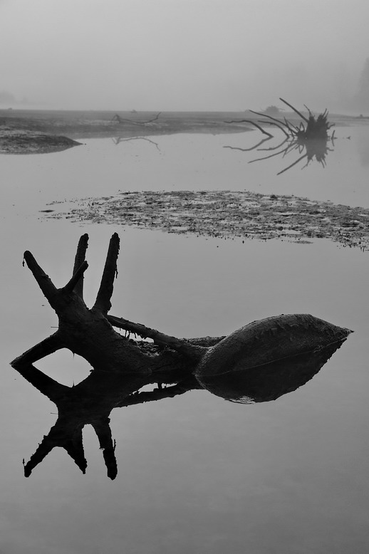 aliens, photography by Kruno Vecenaj. In Nature, Scenery, Waterscape
