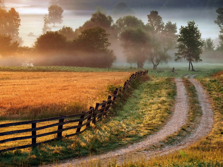 country road