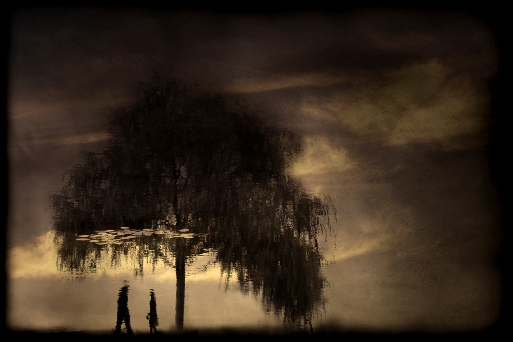 in the evening light, processing by Anja B&uuml;hrer. one more water-reflection :). In Nature, Scenery, Countryside