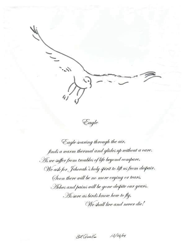 Eagle, drawing by B L Qualls. pen and computer. drawing. In Nature, Animal, Bird