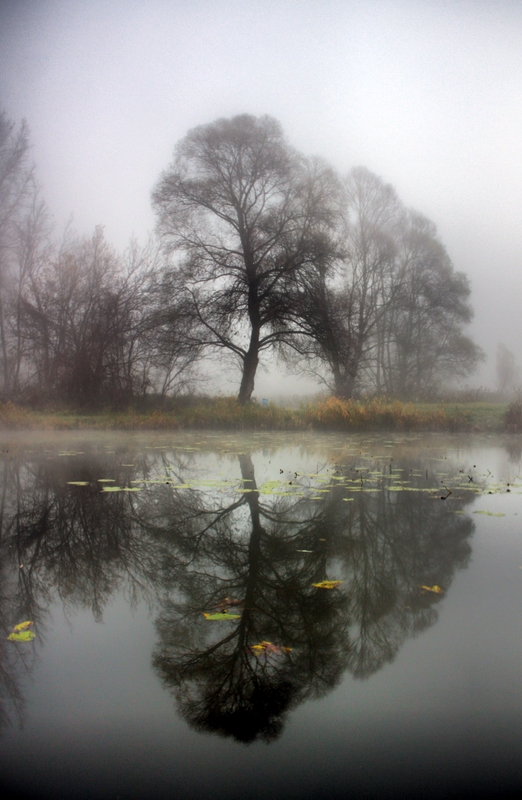 fisherman's friend, photography by Lidija Novak. Canon 450D. In People, Everyday, Countryside