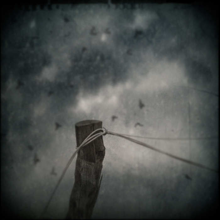Untitled, photography by Ramona G. In Object, Still life