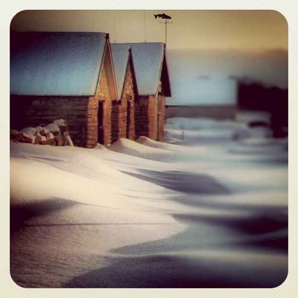 Wintertime, photography by Ramona G. In Nature, Weather