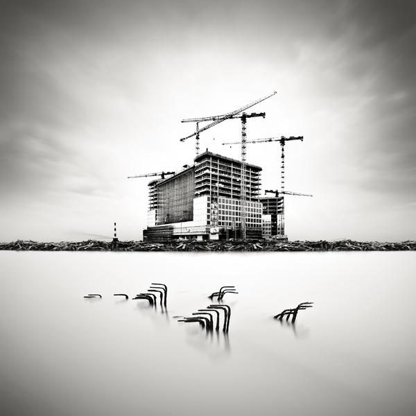 The Ballet Of The Cranes by Fabrice Silly