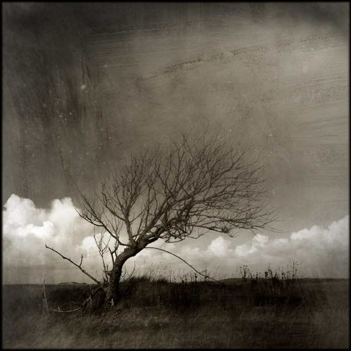 Scoliose, photography by Joel Silly. Canon 5D + 17-40 mm. In Nature, Scenery, Countryside