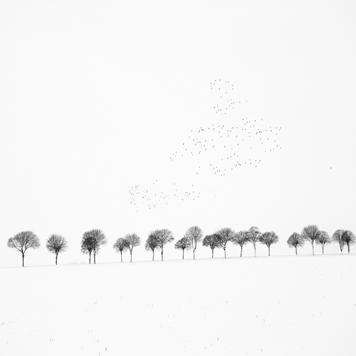 Peoples Of Emptiness, photography by Joel Silly. canon 5D + 17-40 mm. In Nature, Scenery, Countryside