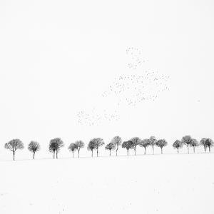 Peoples Of Emptiness by Joel Silly