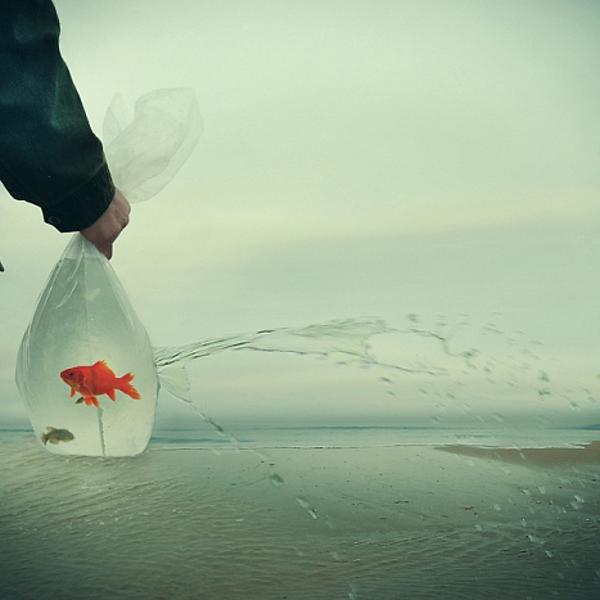 Untitled by Eddi Ger
