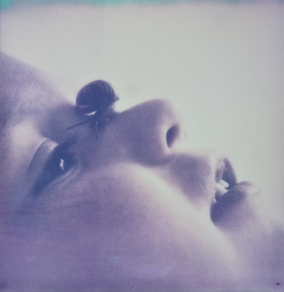 Memento Mori, Artwork by Eirik Holm&oslash;yvik. The Impossible Project PX70