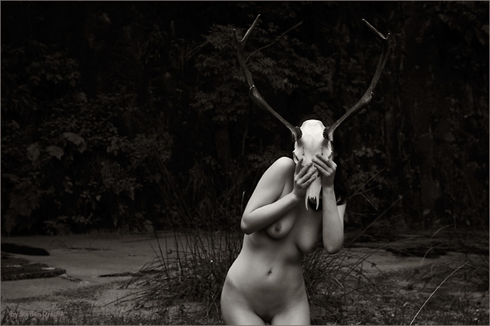 Geweiht, image by Steffen Drache. Image #359263