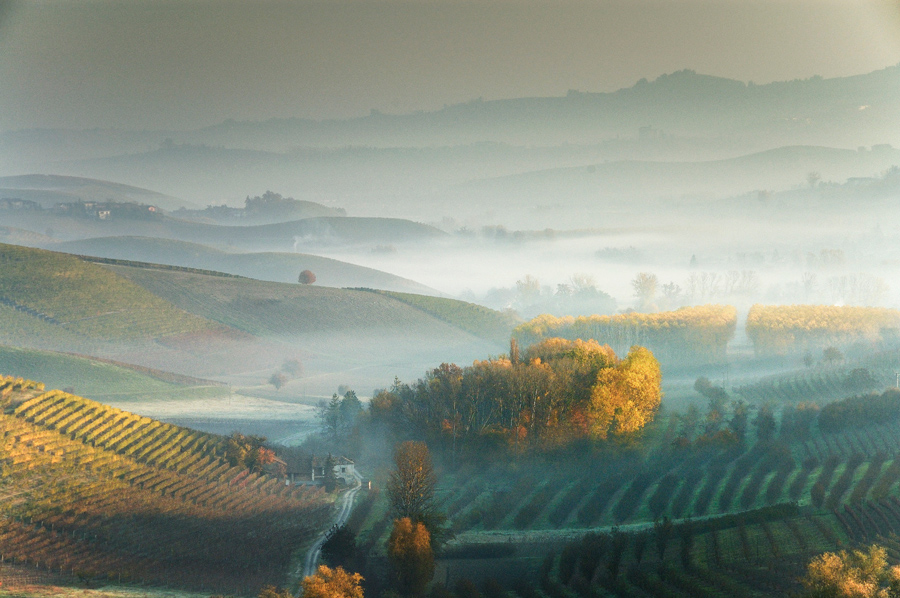 Mists in Langa, photography by Gavino Idili. Nikon D 300. In Nature, Scenery, Countryside
