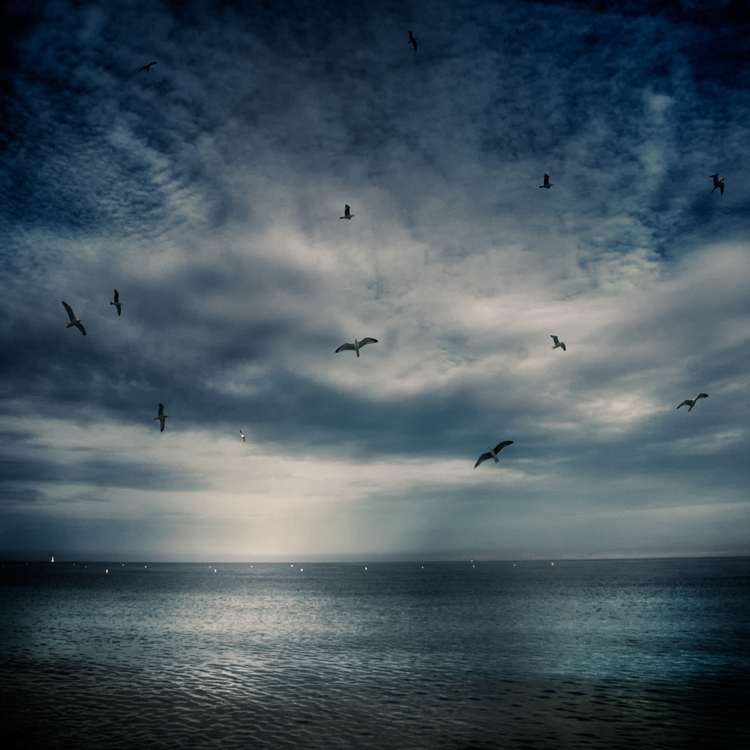 Dance In The Sky, photography by Gavino Idili. In Nature, Scenery, Waterspace