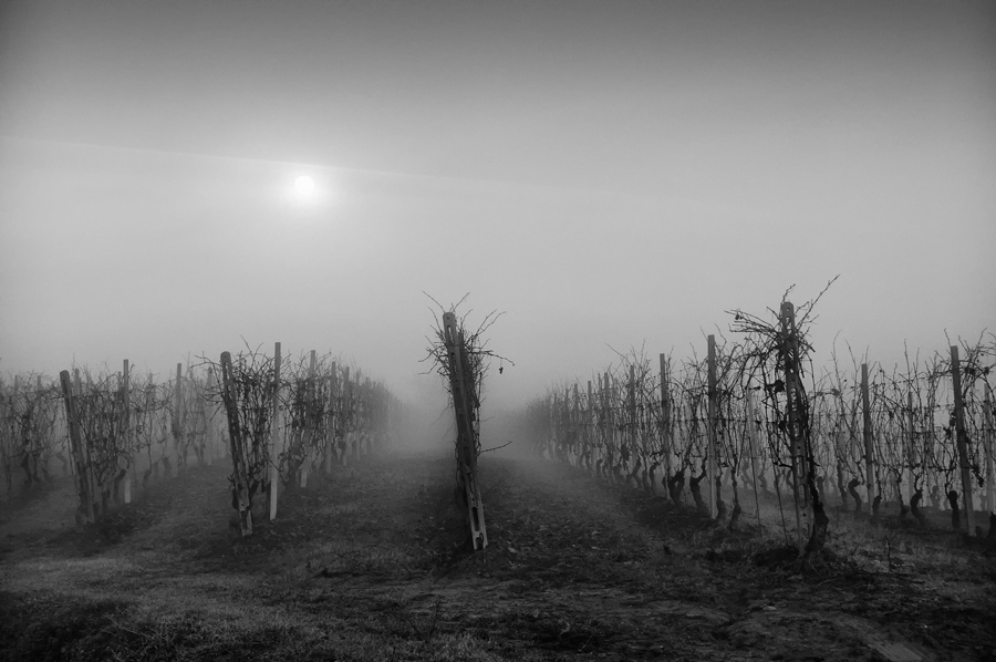 NIKON D90. In Nature, Scenery, Countryside. Fogs, photography by Marina Omedè. Image #263653