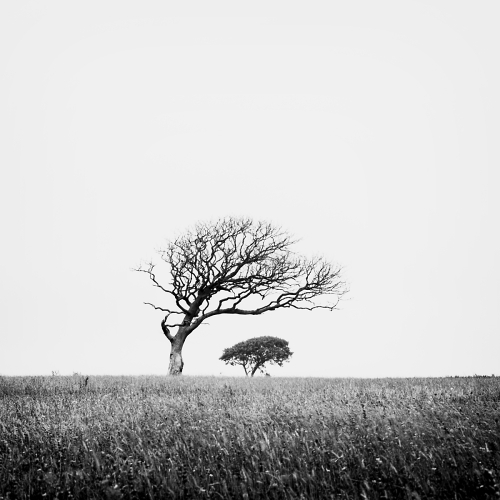 Untitled, Artwork by Luk&aacute;&scaron; Peterec. http://www.facebook.com/LukasPeterecPhotography. Zenza Bronica