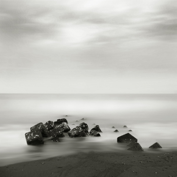 Shellfish And Stone I, photography by Fusyou Zen. In Nature, Scenery, Waterscape
