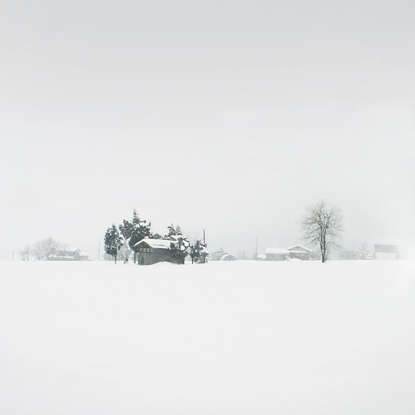 Japnese Hart, photography by Fusyou Zen. In Nature, Scenery, Countryside