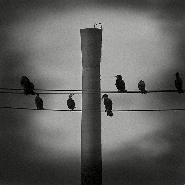 Stack I, Artwork by Fusyou Zen