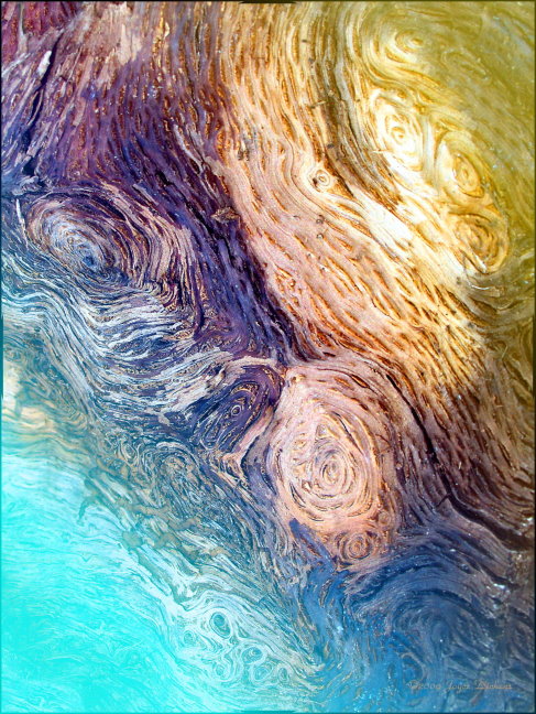 Captured in macro; color edited in for this final presentation - reminiscent of Vincent Van Gogh. Canon G10. Macro, digitally edited. Into The Deep, image by Joyce Dickens. Image #314197