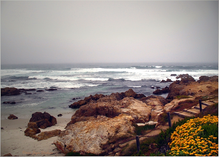 Captured at Asilomar beach, Pacific Grove, CA, USA. This image has been sold on Fine Art America in the form of a glossy finish canvas print measuring 10" X 7.5" with a gallery wrap.
http://www.stumbleupon.com/su/2xz2Dd/fineartamerica.com/saleannouncement.html%3Fid%3D8bf009fa98d1ff9a138e2444ca397076. Canon A640. Manual settings, tripod. Asilomar Beach, Pacific Grove, Ca, image by Joyce Dickens. Image #352581