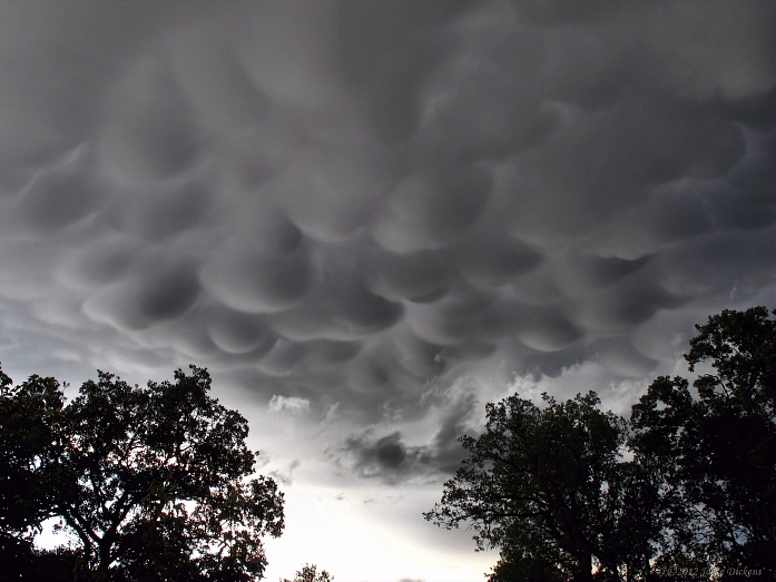 A horrendous thunder storm was approaching and this was the notification....... Canon A640. manual mode. Clouds 06 04 12 A, image by Joyce Dickens. Image #393493