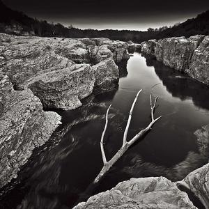 Tronc flottant sur la C&egrave;ze by Bruno Aguila
