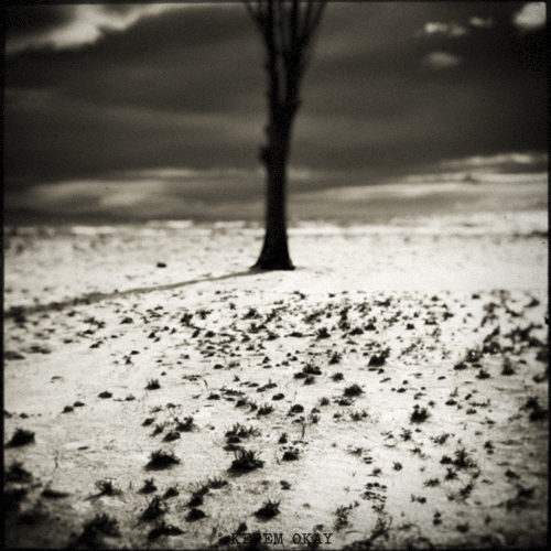 Canon 40D. In Nature, Vegetal, Tree, forest. Memories, photography by Kerem Okay. Image #304944
