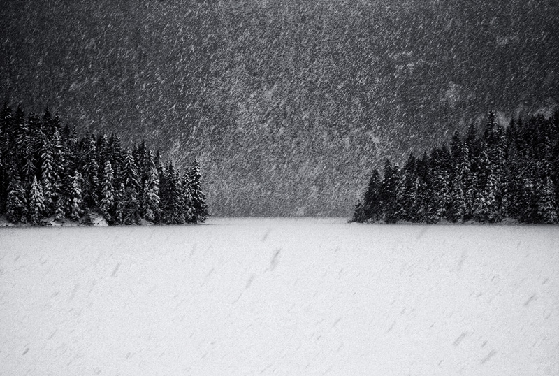 Winter Poetry, photography by Nikola Krtinić. In Nature, Vegetal, Tree, forest