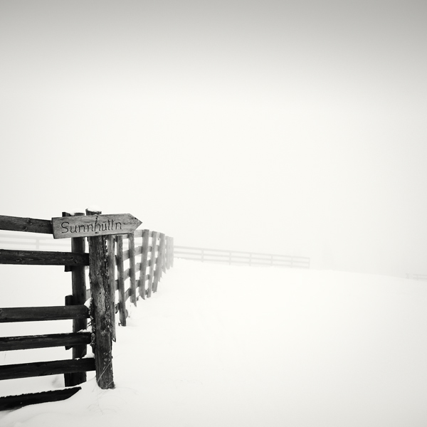 3.02, photography by Sylwia Steginska. In Nature, Scenery