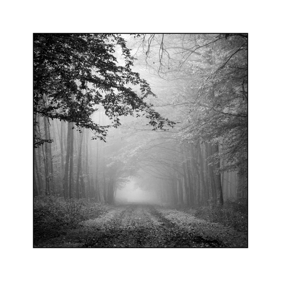My Way, photography by Tony Mamic