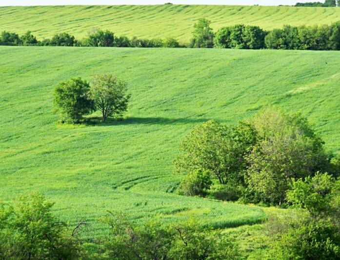Countryside view of green, Artwork by Janko Stefanov. Location: Hotnitsa, Veliko Tarnovo Municipality, Veliko Tarnovo Province, Bulgaria.
Info: In 1955, as a group of builders were digging some trenches in the fields nearby the village, they came across a burial mound. One year later in the same mound, archeologists from Veliko Tarnovo found one of the world's oldest gold treasures, dating back to 4500 BC.. Kodak "Easy Share" Z1012 IS