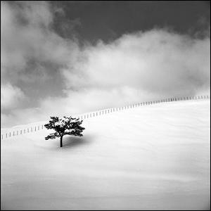 snowland 007, photography by Yein. South korea , January 27 , 2009. Rolleiflex fw / kodak 100tmy. Toned gelatin silver print. In Nature, Scenery